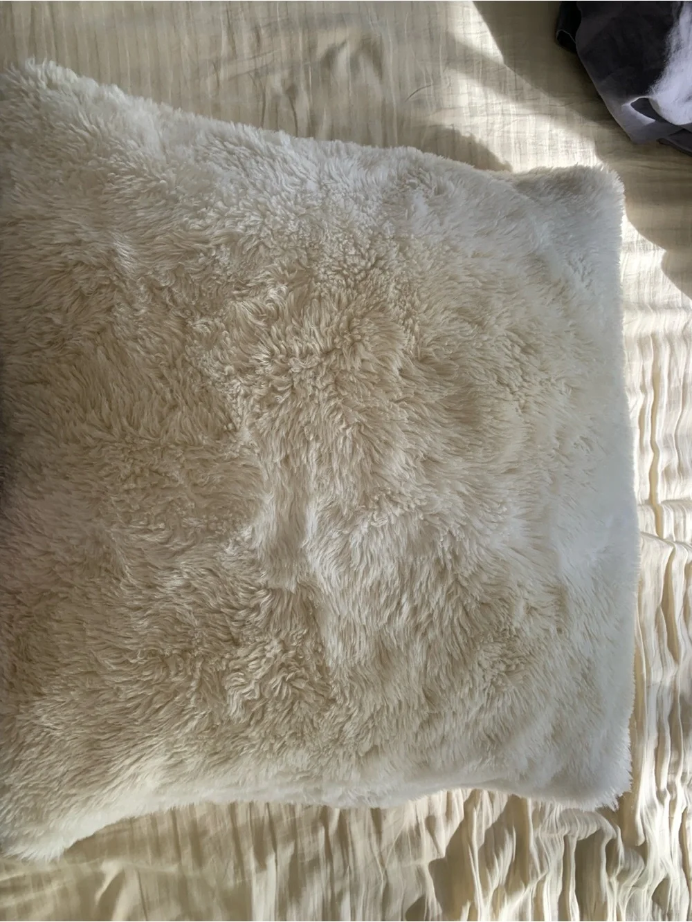 Restoration Hardware Ultimate Faux Fur Pillow Cover